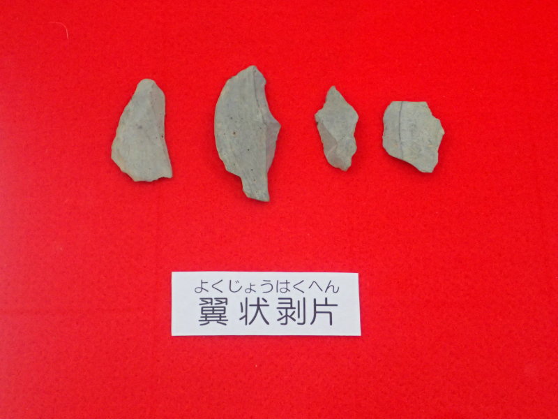 旧石器時代と車社会 | ローカル×ダイアログ